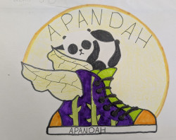 XIX CARRERA SOLIDARIA A FAVOR DE APANDAH