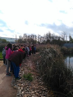 Visitas al Jadín Botánico de Albacete